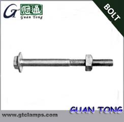 Brace Bolt